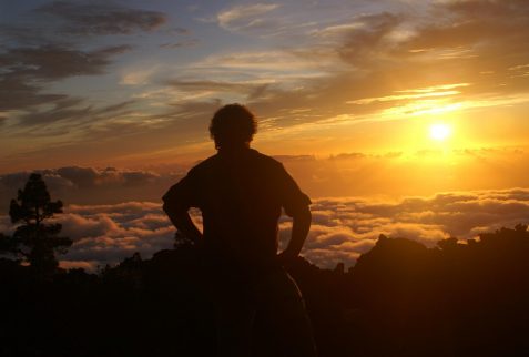 Image by Rettenberg from Pixabay