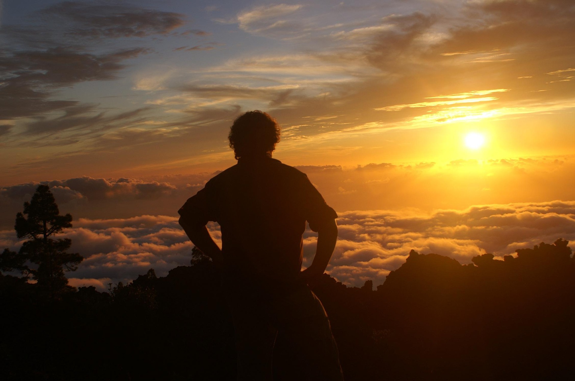 Image by Rettenberg from Pixabay