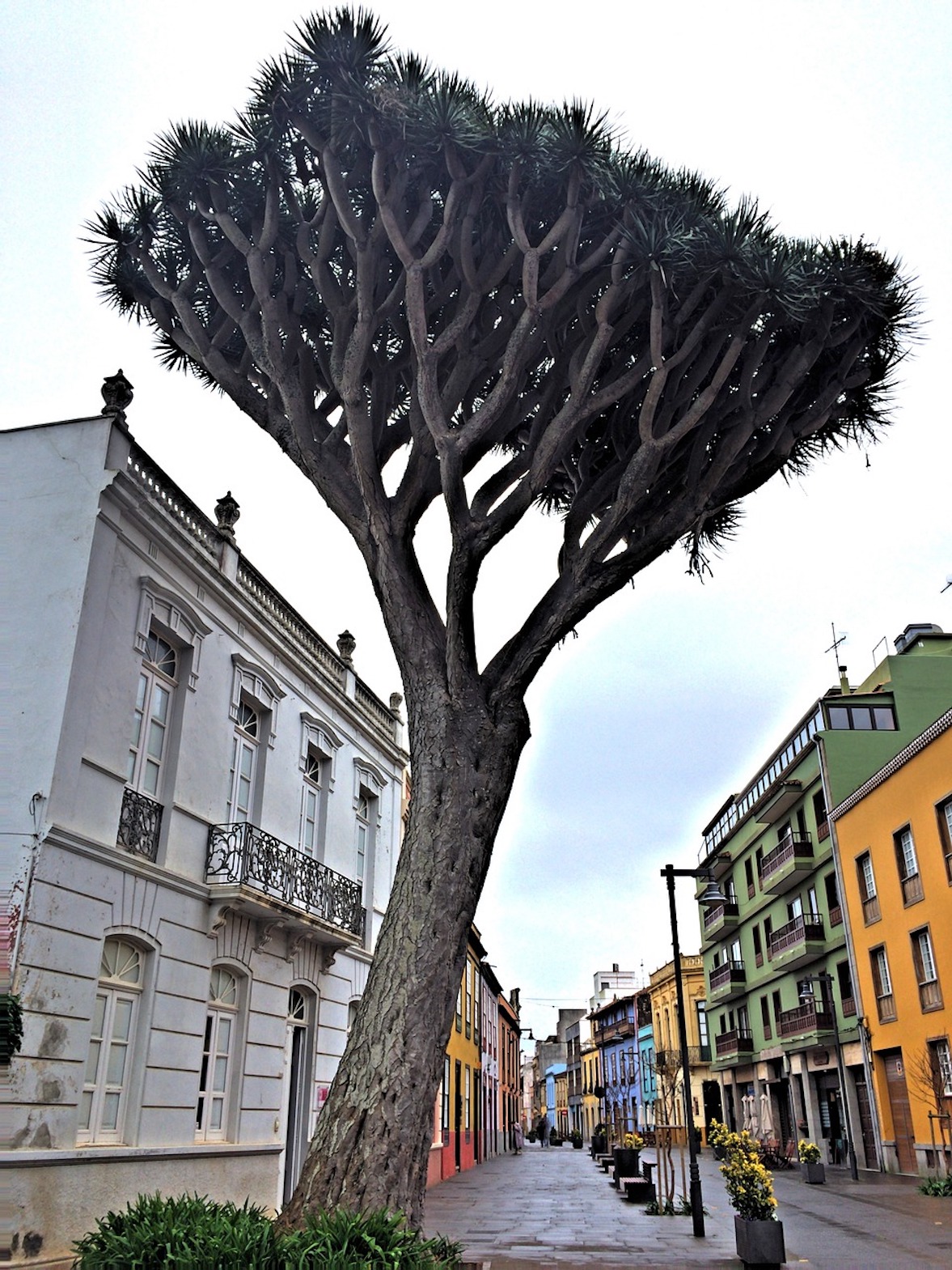 Image by srool from Pixabay
