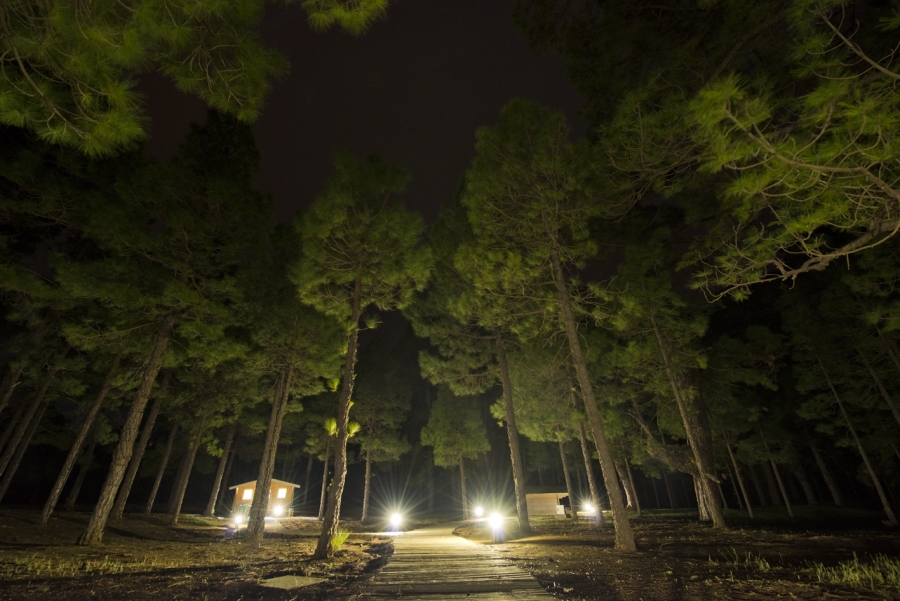 Imagen del Ayuntamiento de El Pinar - El Hierro