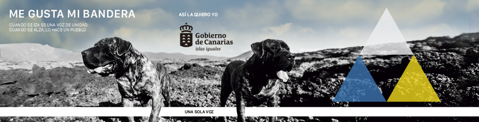 canariasahora_980x250